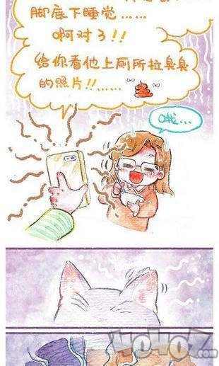 宠派漫画