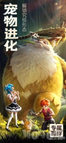 剑与勇士