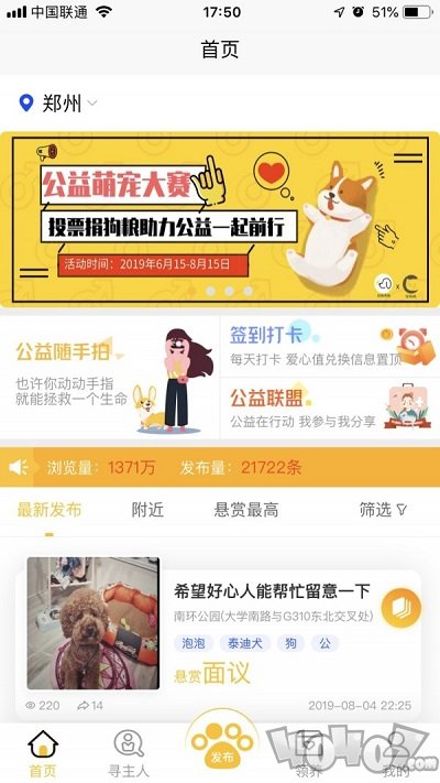 找狗寻狗