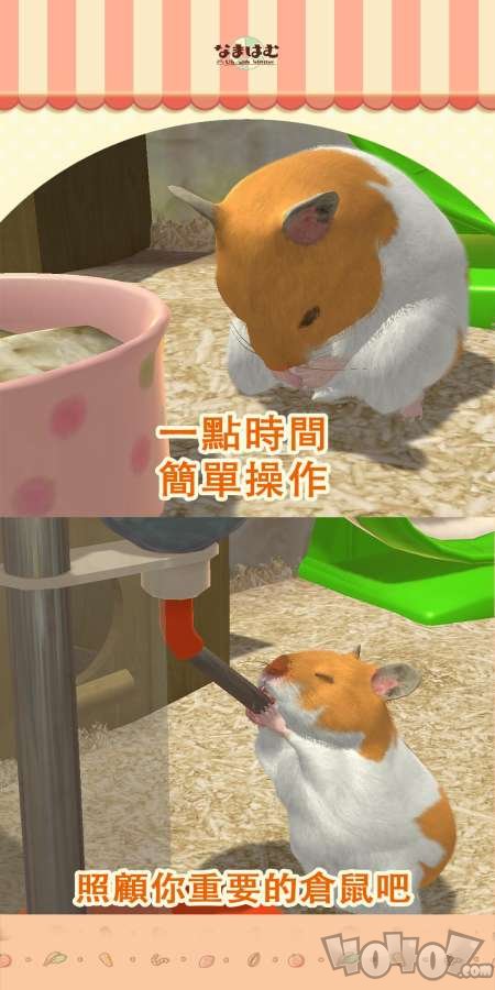 我的仓鼠