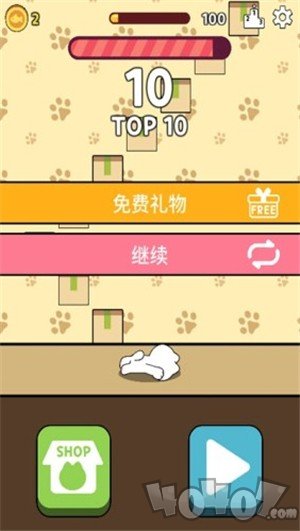 小猫打块
