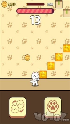 小猫打块