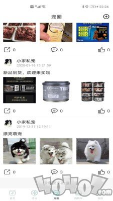 奇亚娜宠屋