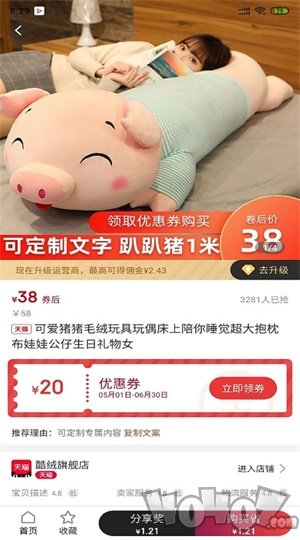 小猪淘