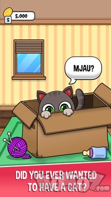 猫咪养成