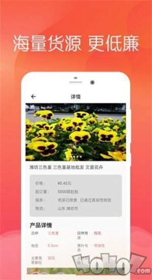 宜花鲜花