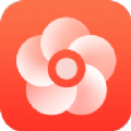 宜花鲜花