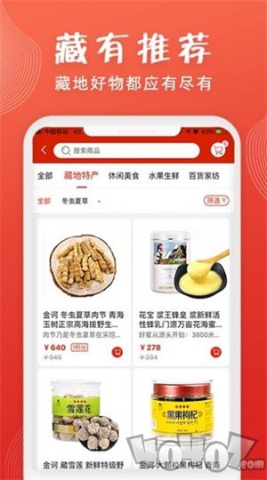 藏有引力