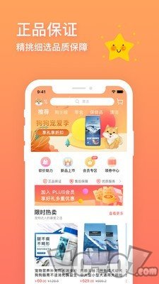 卡多格宠物