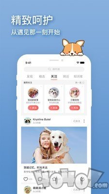 卡多格宠物