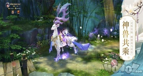 师妹请留步