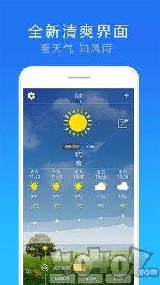 15日实况天气