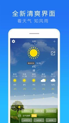 15日实况天气截图
