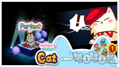 合并猫咪