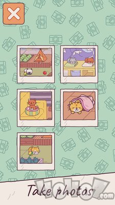 猫之家