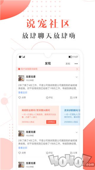 宠才宝