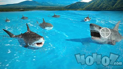 鲨鱼捕猎手
