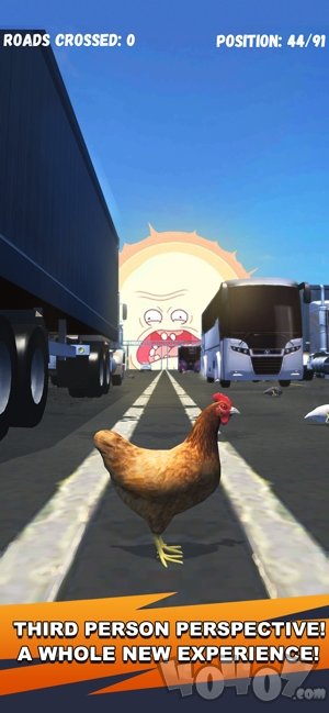 3D鸡肉挑战赛