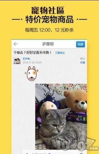 宠物社区