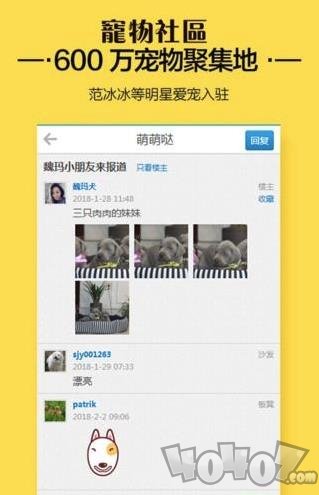 宠物社区