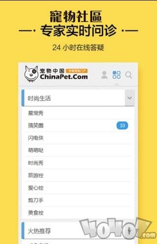 宠物社区