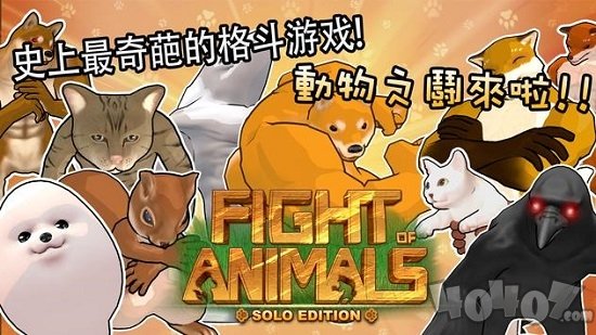 动物之斗