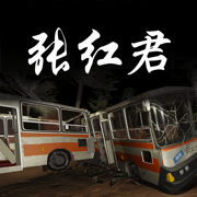 孙美琪疑案张红君