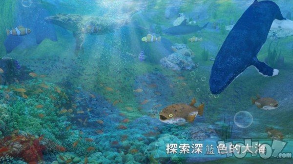 全民养鲸鱼
