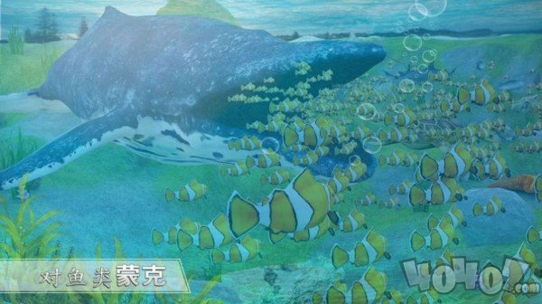 全民养鲸鱼