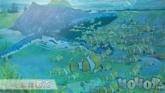 全民养鲸鱼最新版