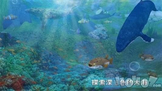 全民养鲸鱼最新版
