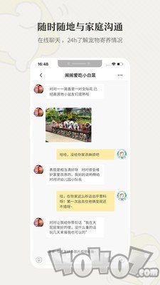 小狗在家宠物狗猫