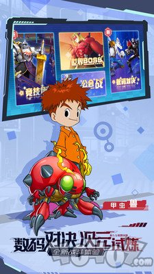 宠物集结