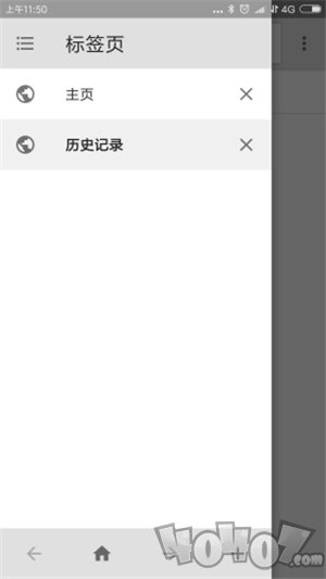 荔枝浏览器