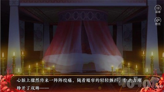 我的血族大人