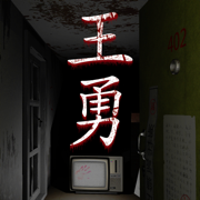 孙美琪疑案王勇