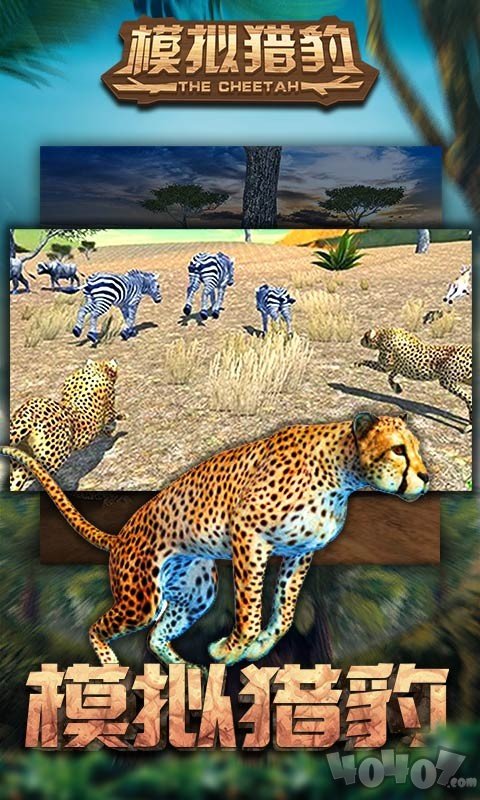 模拟猎豹