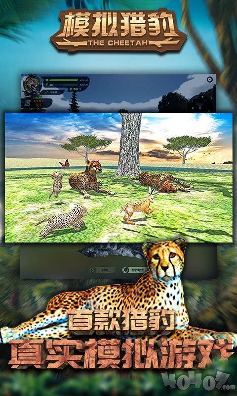 模拟猎豹