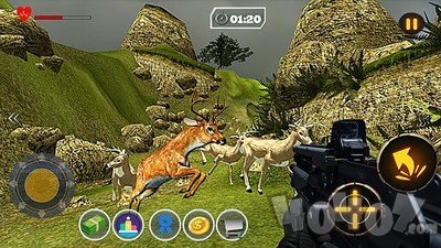 免费猎鹿3D