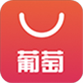 葡萄购