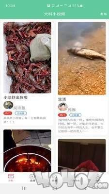 大料小视频