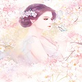 龙婿大丈夫
