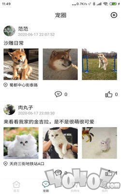 叮当宠屋