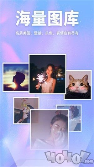 灵猫壁纸