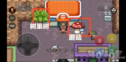 口袋妖怪去吧伊布