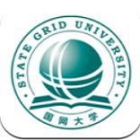 国网大学云课堂