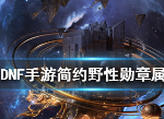dnf手游简约野性勋章好用吗 简约野性勋章怎么样