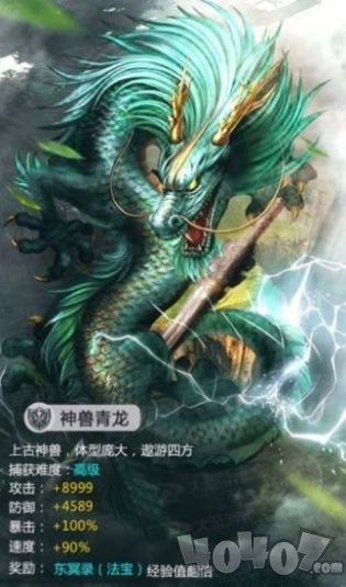 放开那只鲲