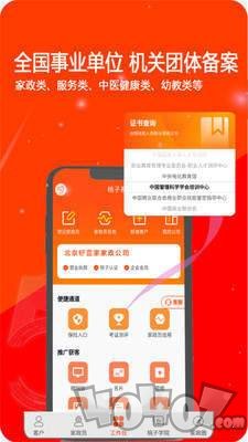 桃子系统