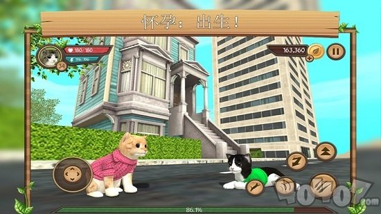 在线模拟猫